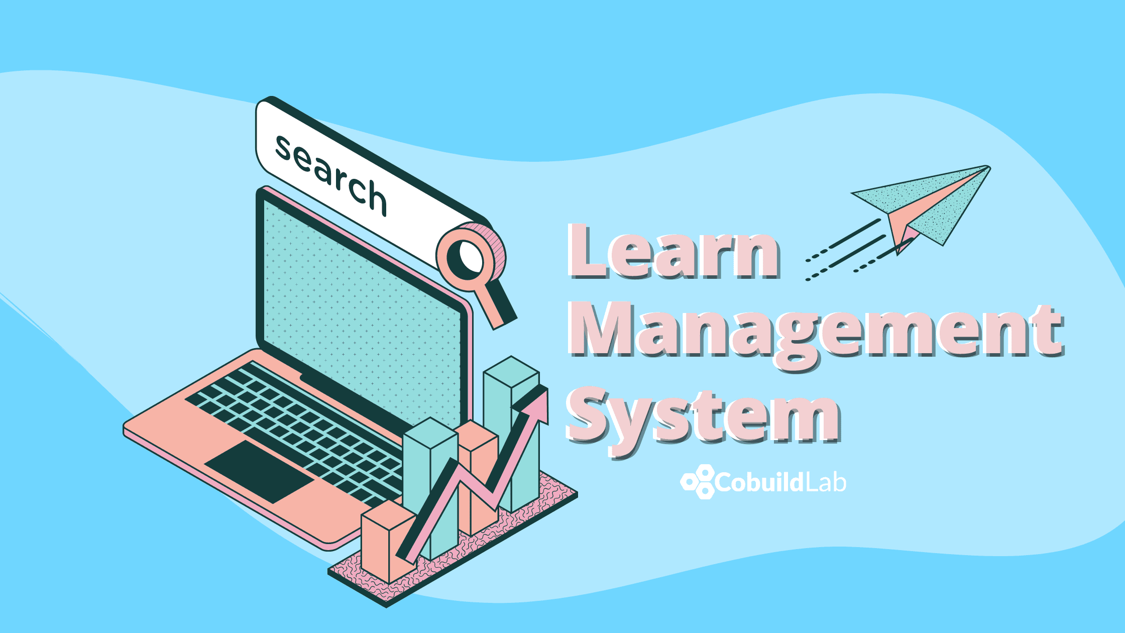 Learning Management Systems: all you need to know